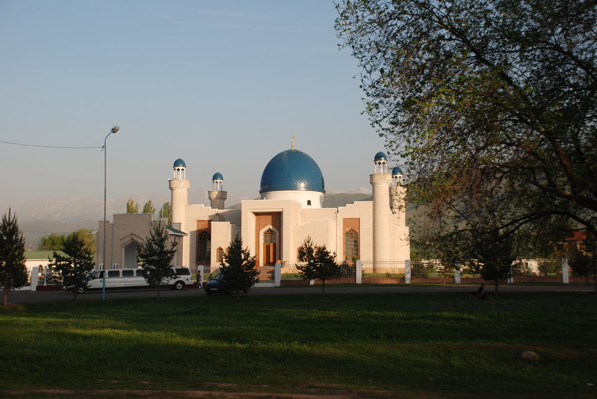 мечеть с.Чемолган - Сергей Дорохов