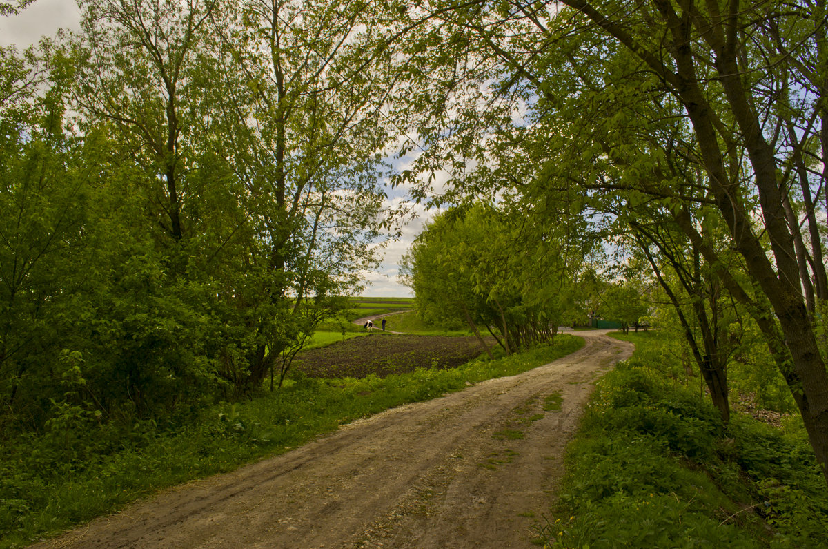 Дорога в село - Weles 