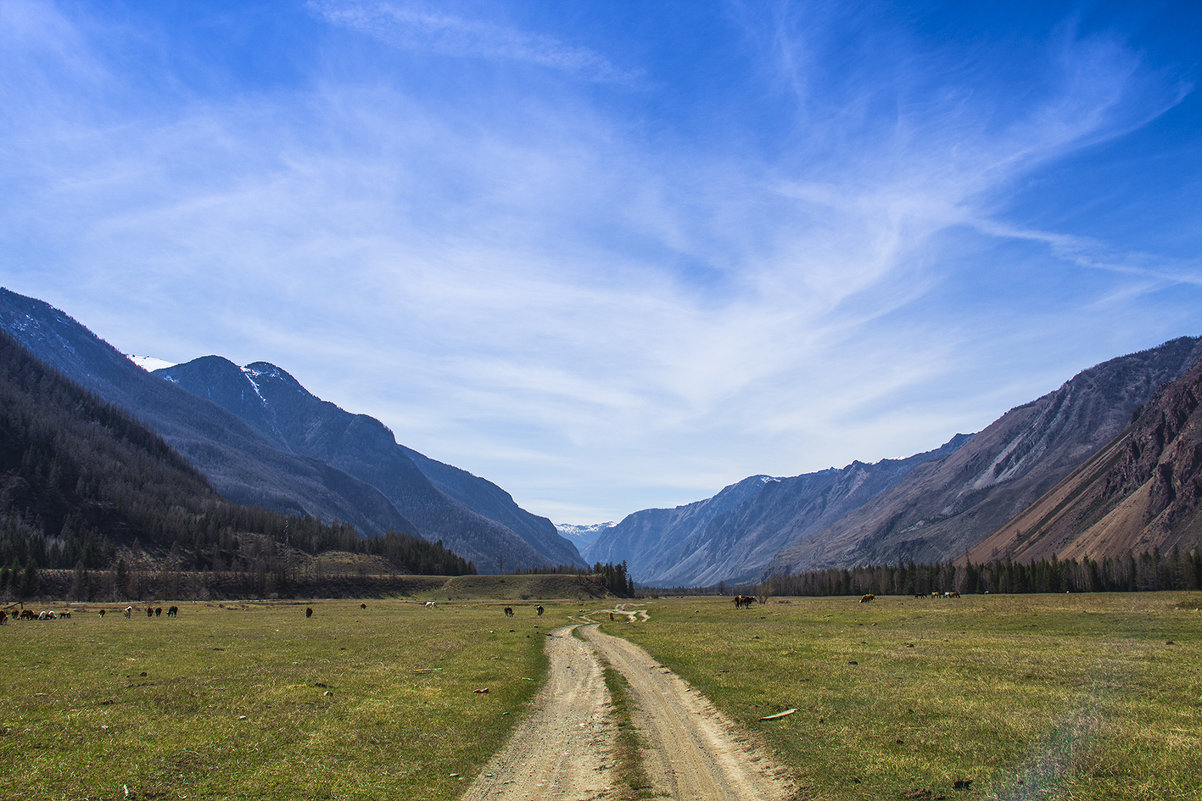 Алтай Село Акташ Магазины