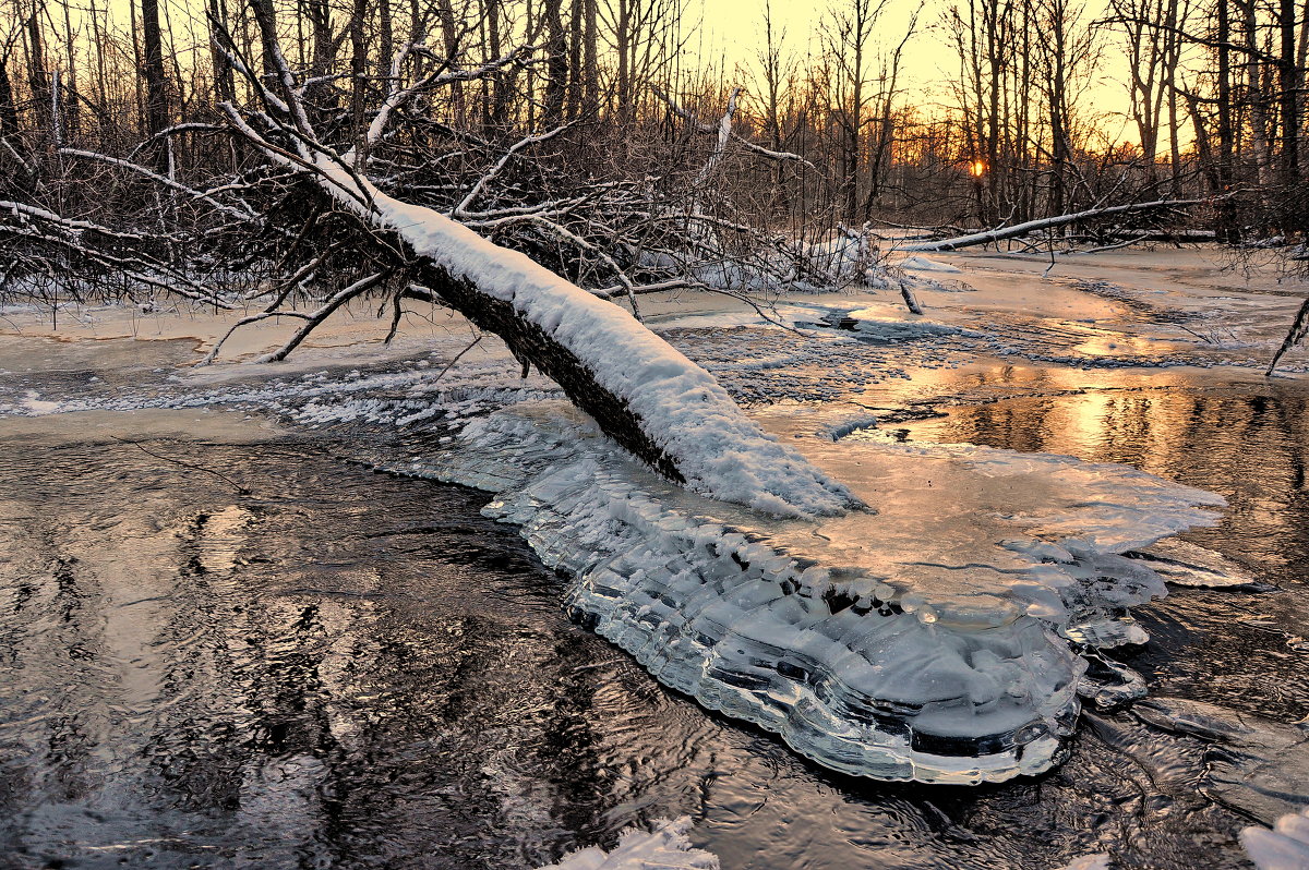 замерзает речка - Игорь 