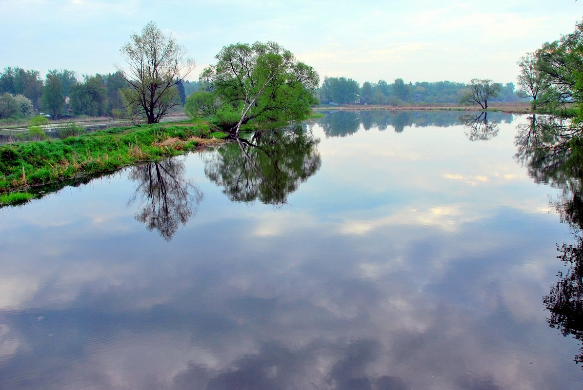 * - Елена Познокос