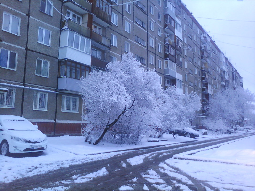 утро 24 апреля Пермь - опарина татьяна 