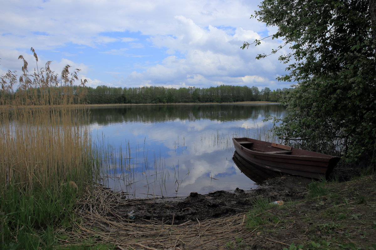 У озера - Yury Novikov