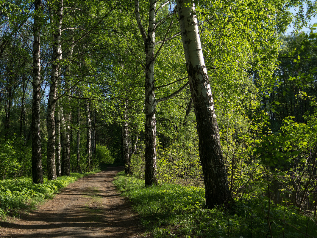 * - Александр Агеев