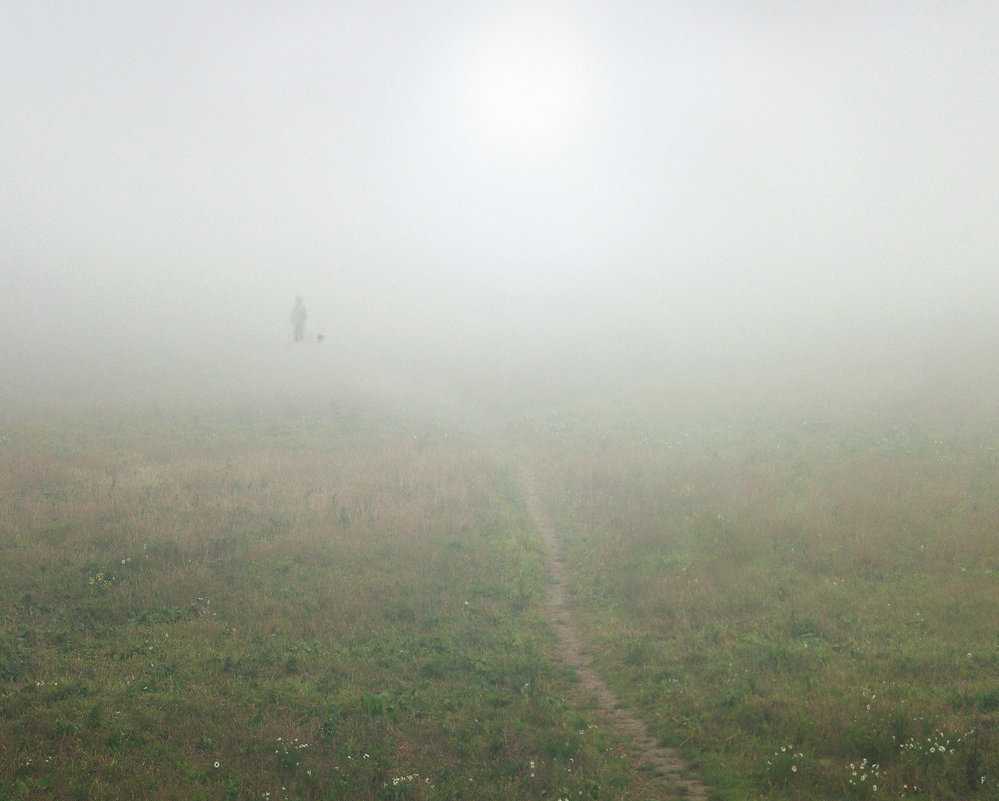 Прогулка в тумане - Валерий Талашов