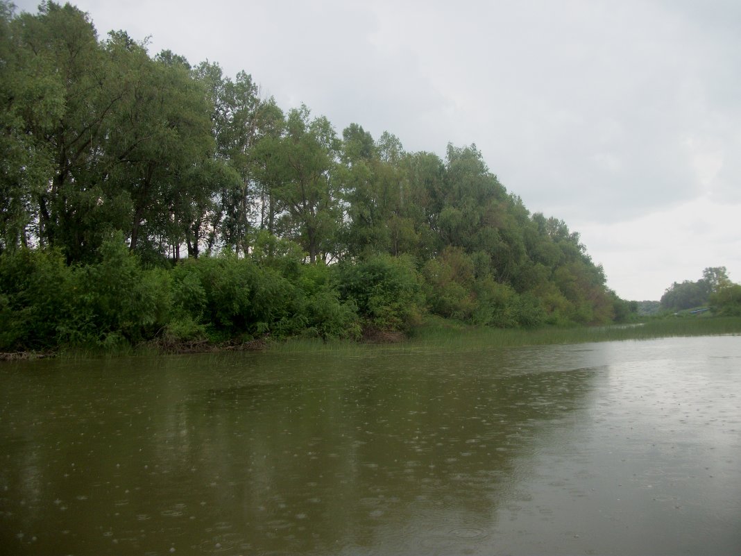 Дождь на реке Ишим - Анна Наумова