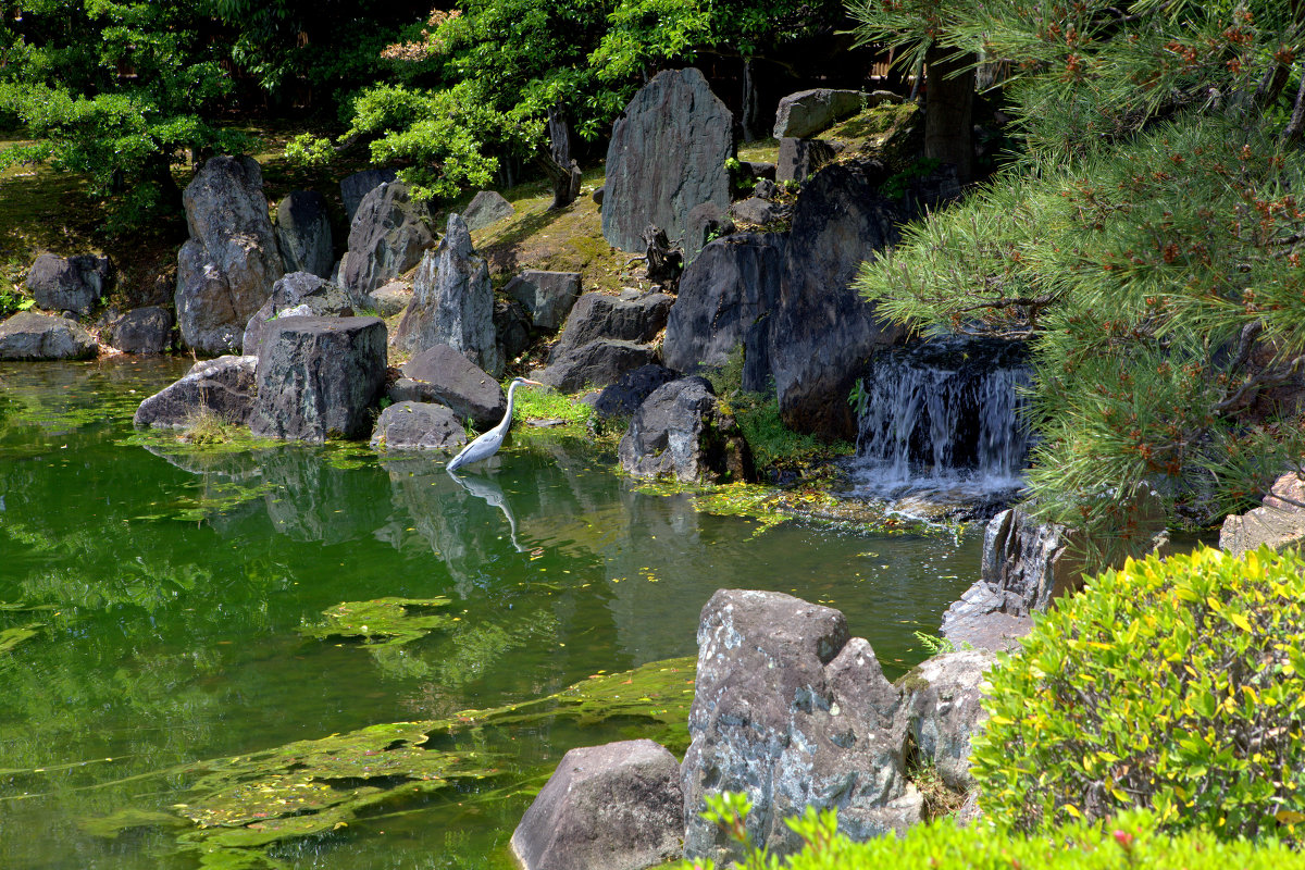 В парке замка Нидзе в Киото - Геннадий Мельников