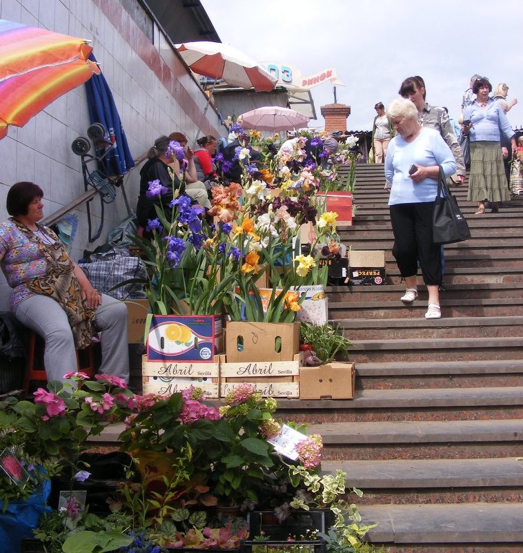 Путь к Привозу - Александр Скамо