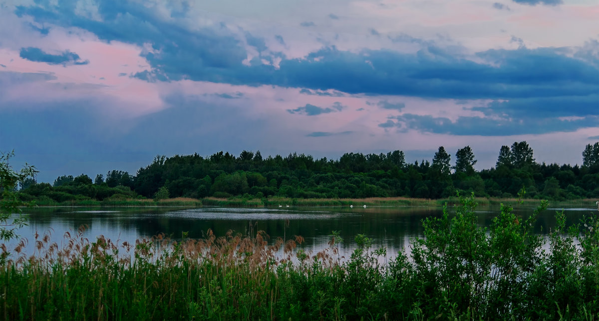 Озеро в Шумилино в вечернее время. - Анатолий Клепешнёв