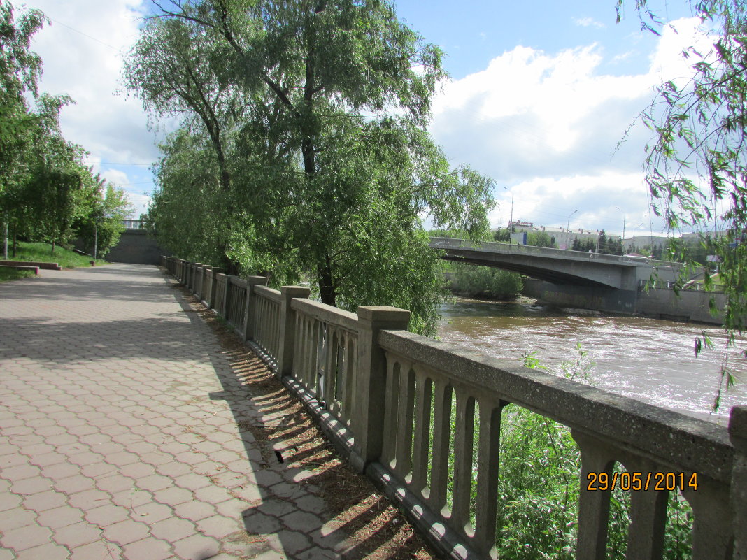 Мост через р. Омь - раиса Орловская
