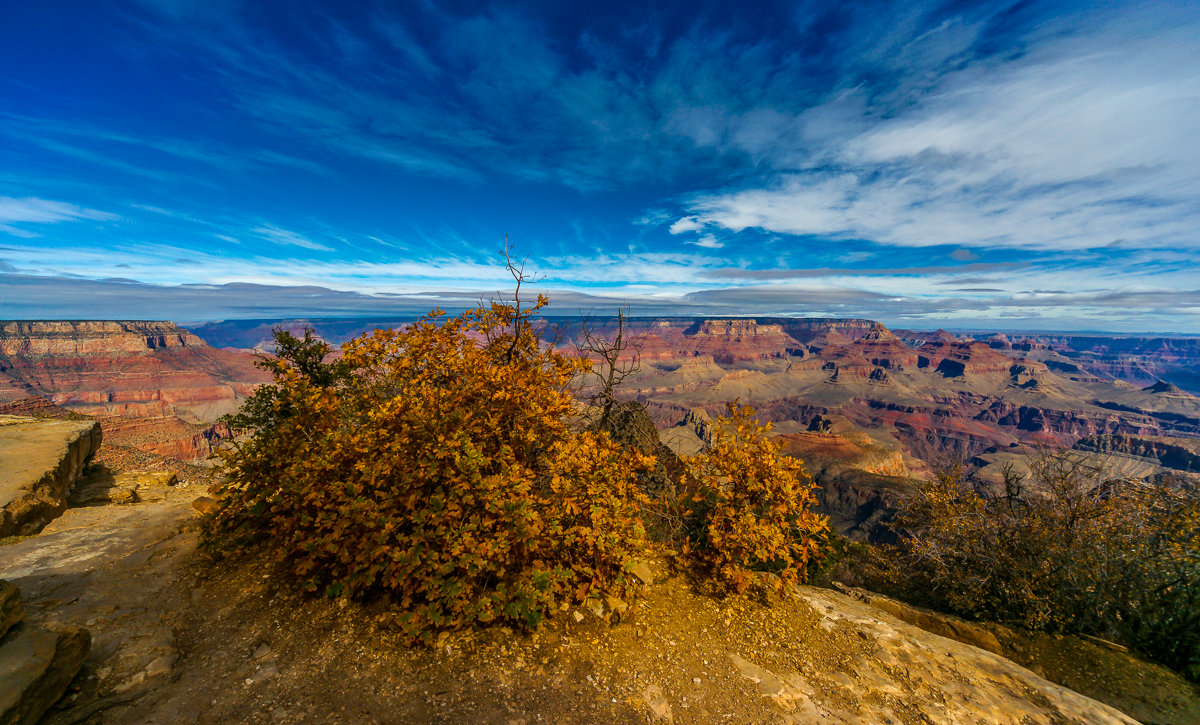 Grand Canyon(3) - Gregory Regelman
