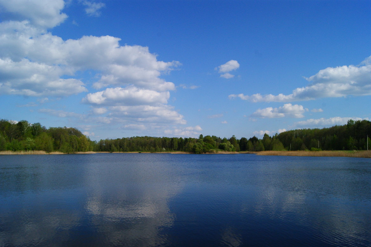 озеро - Дима 
