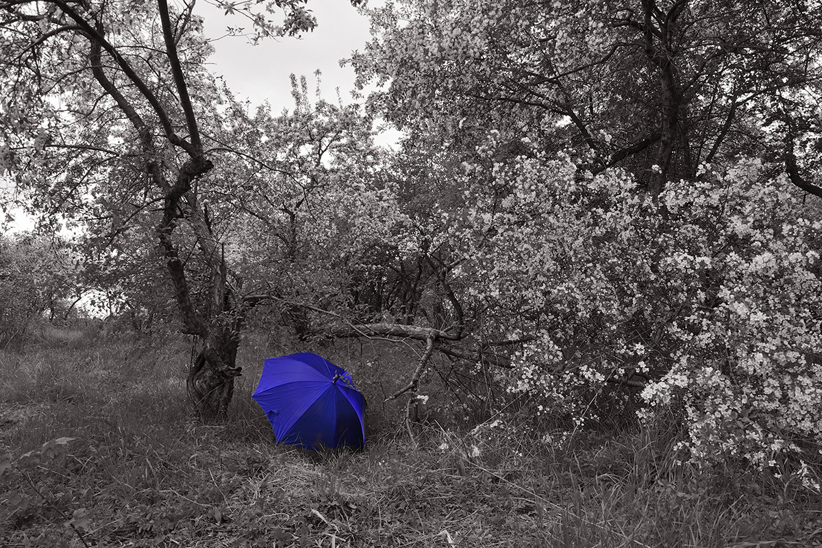Бессмертие синего зонта... - Сергей Коновалов