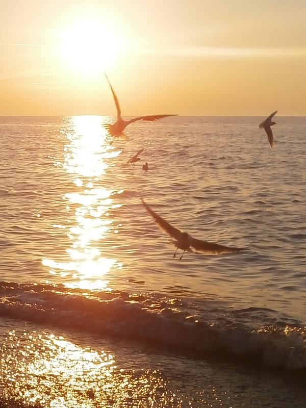 Заход солнца на Балтийском море - Nikita Lev
