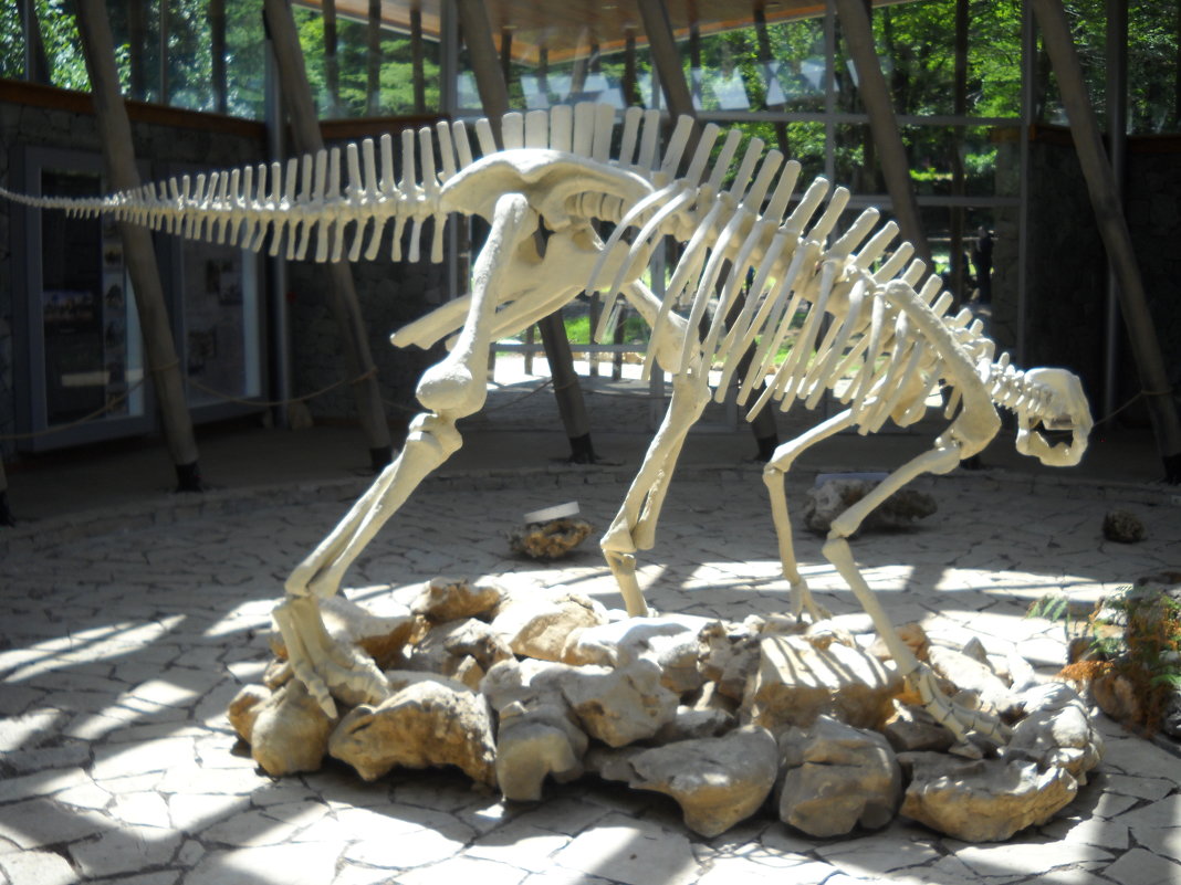 Скелет динозавра... - Arusia Davrisheva