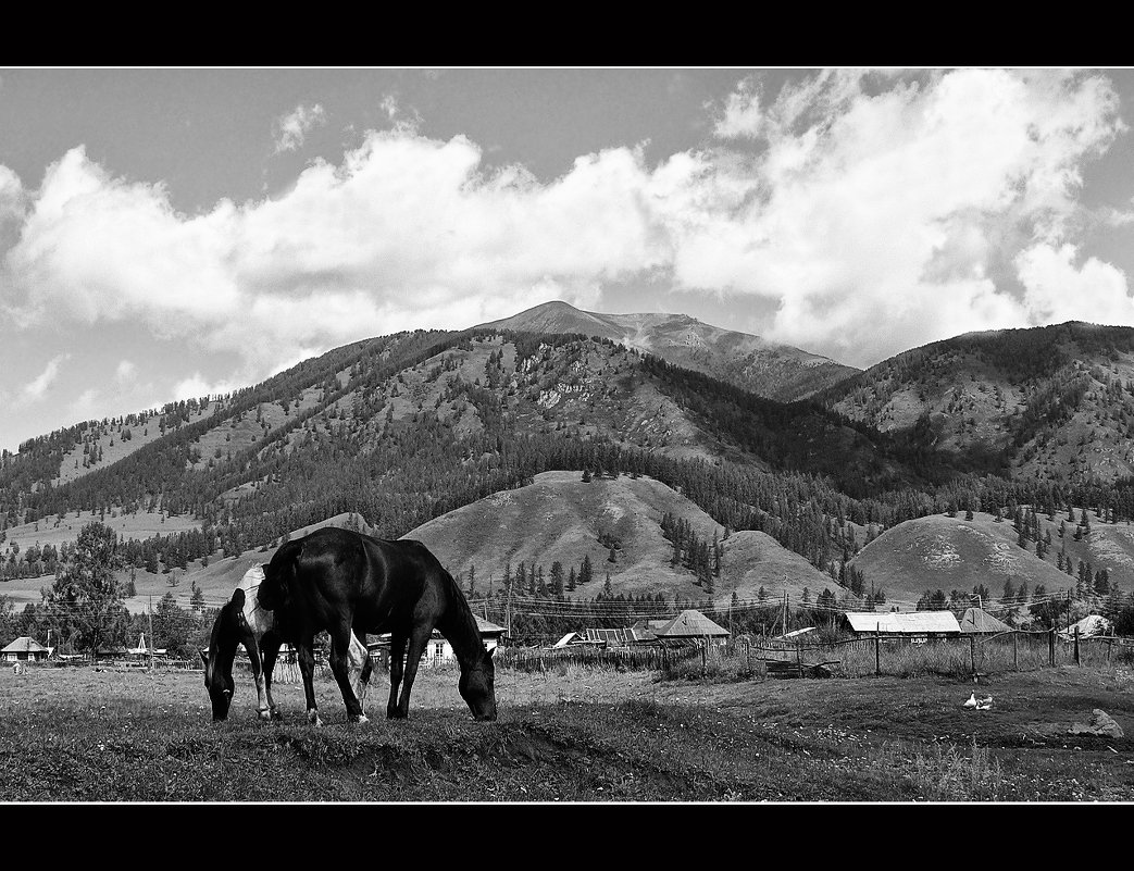 Алтай.Тюгурюк. - Алексей Карташев