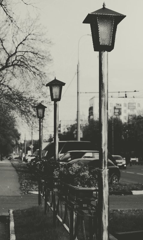Улица неразбитых фонарей) - Ксения Базарова