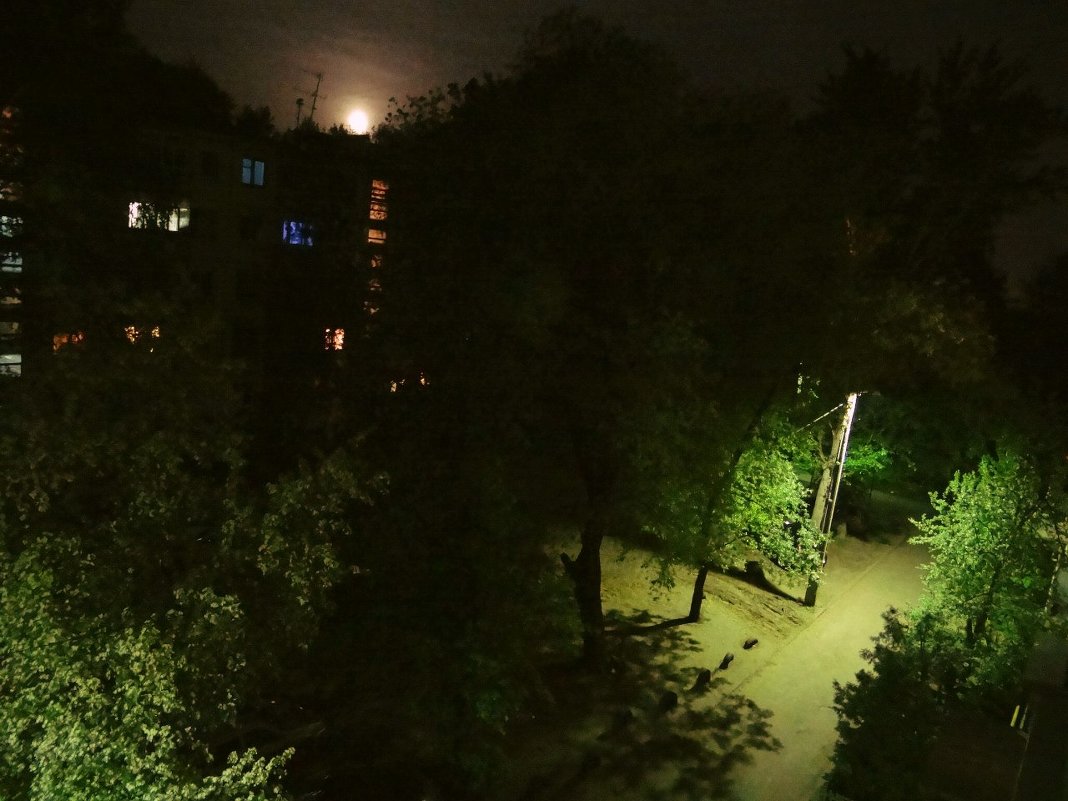 ночь во  дворе - Дмитрий Потапов