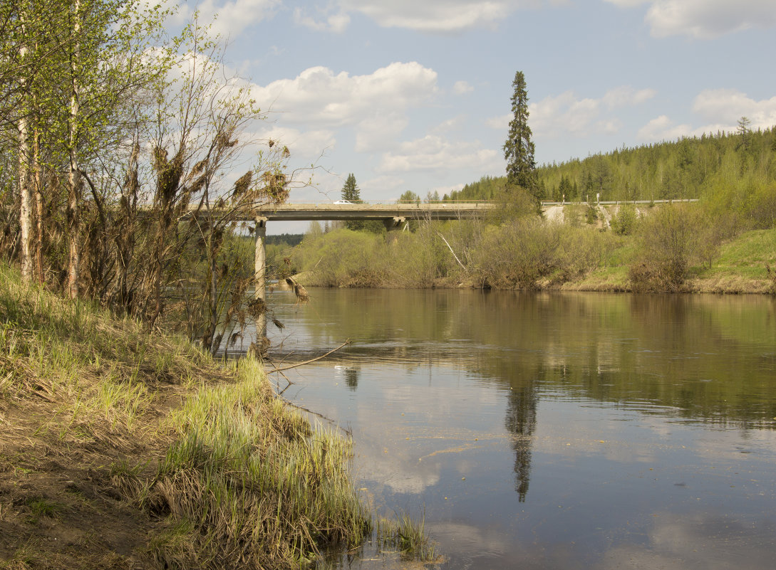 Пейзаж за городом - Наталья Отраковская