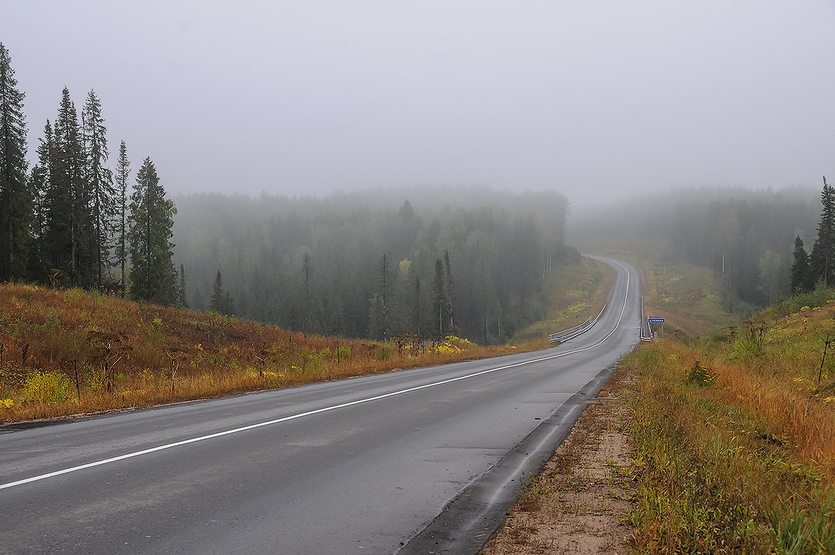 дорога, уводящая в туман - Galina 