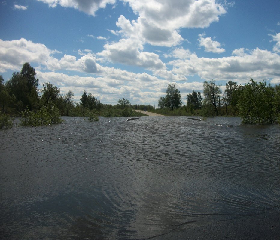 Затопленный мост - Анна Наумова
