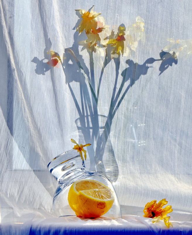 Натюрморт с цветами и лимоном - Нина Штейнбреннер
