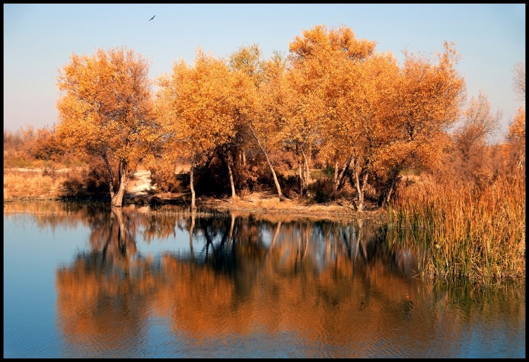 Осень.Озеро - Ахмед Овезмухаммедов