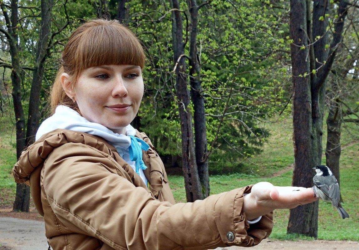 В парке - Петр Заровнев