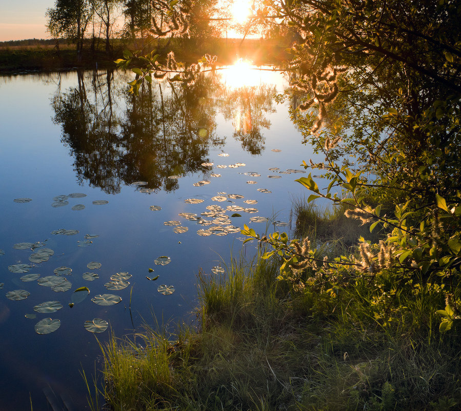 *** - Николай Морский 