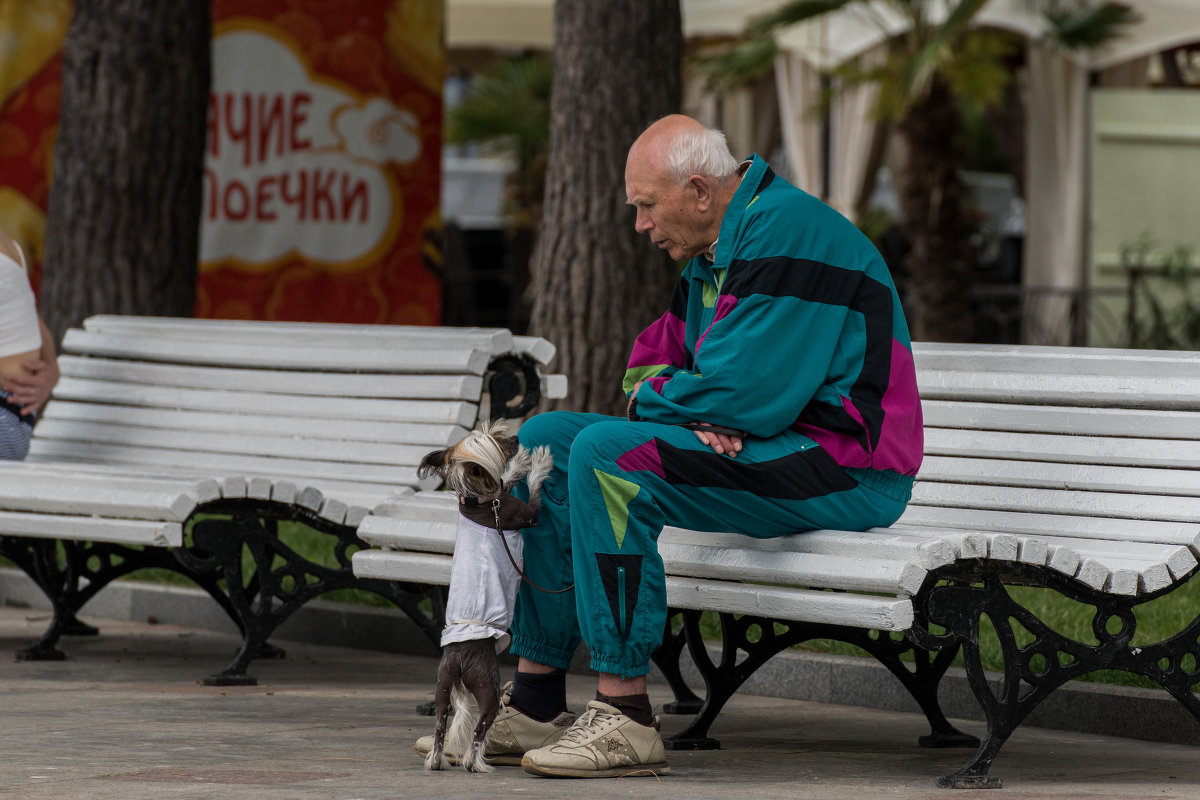 Однажды утром в Ялте - Сергей Волков