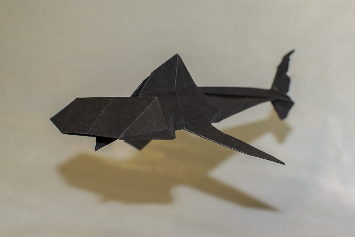 Оригами акула - Богдан Петренко