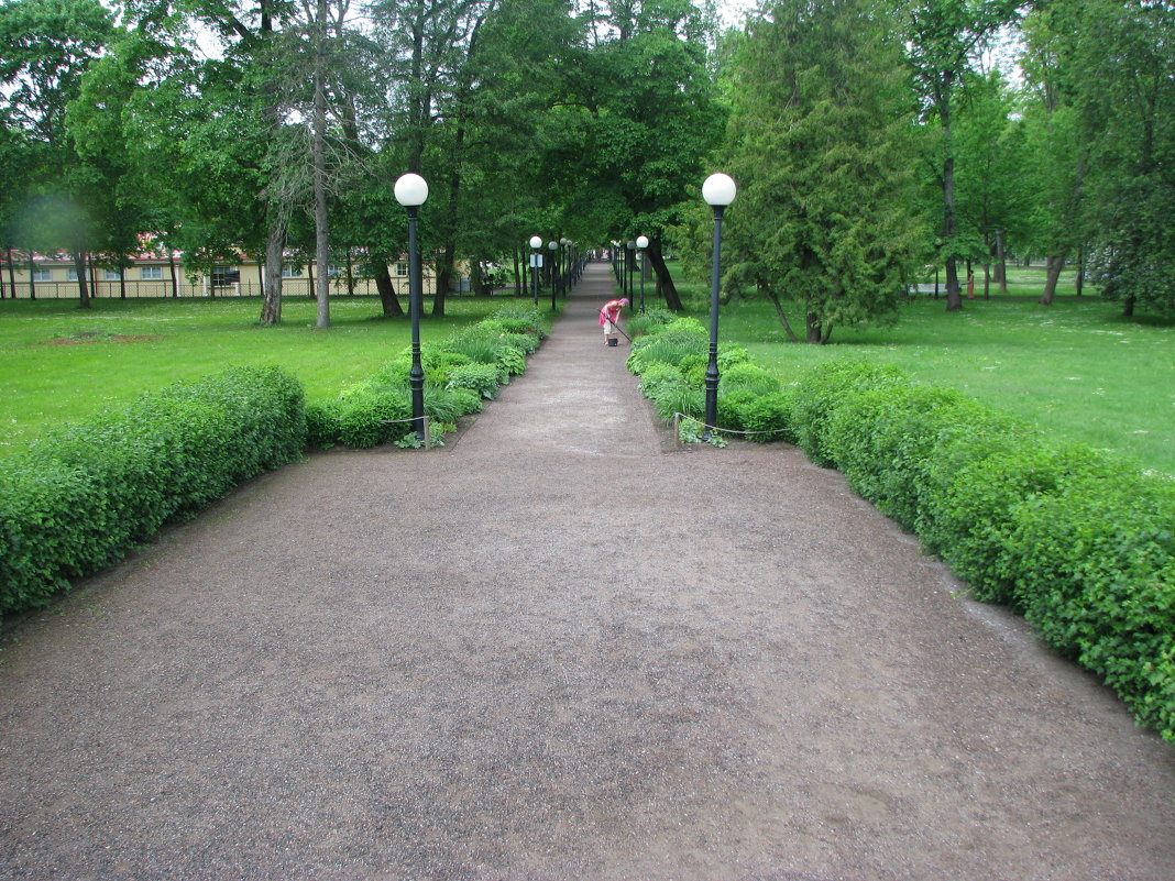 Утром в парке - Владислав Плюснин