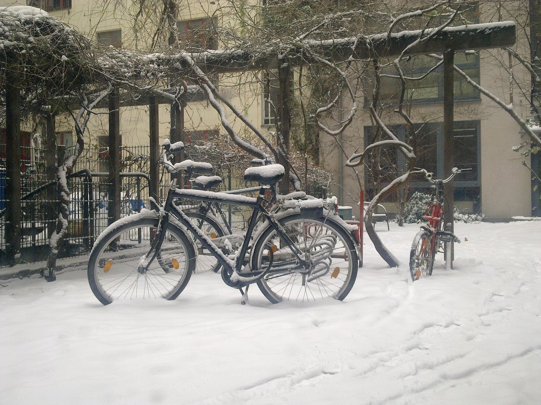 Snow&Bike - Алексей Гимпель