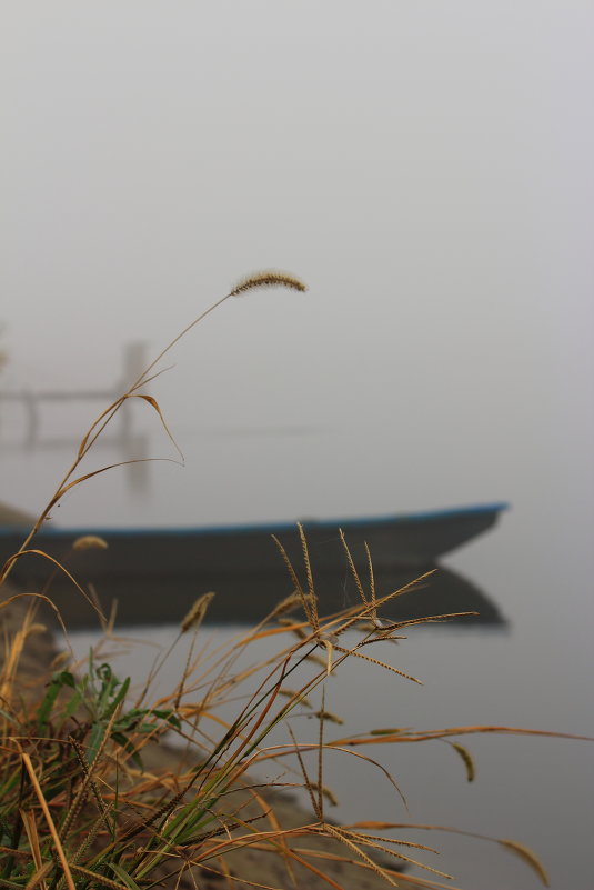 Лодка в тумане - JlakocT 