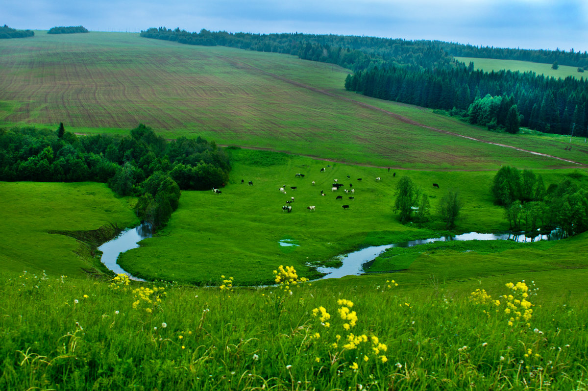 Проект уральская швейцария