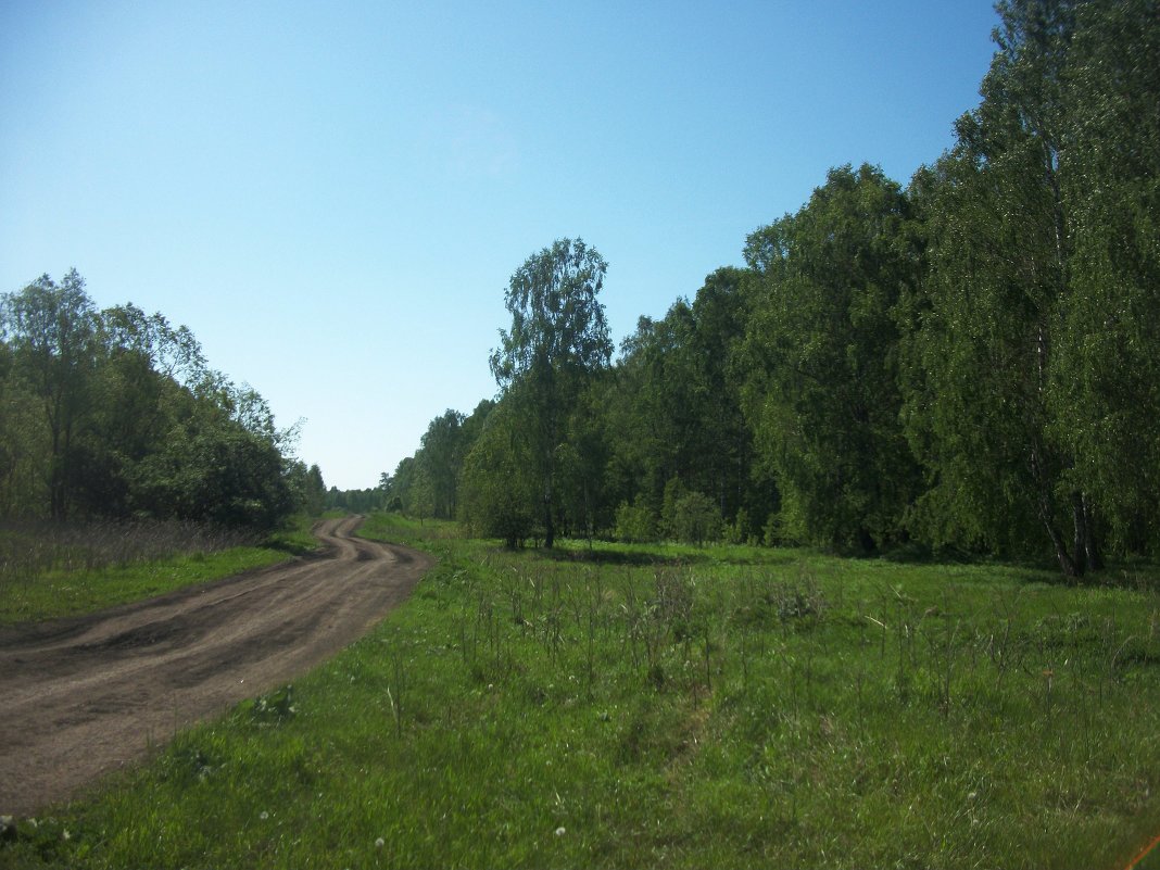 Дорога на исчезнувшую деревню Боровлянку - Анна Наумова