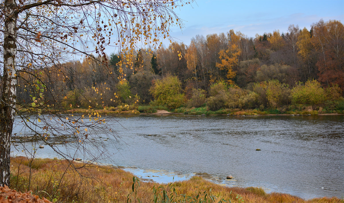 Вид на реку с усадьбы художника Репина. - Анатолий Клепешнёв