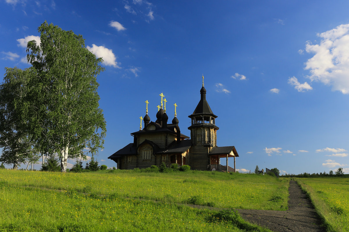 Храм на лугу - Дмитрий Авдонин