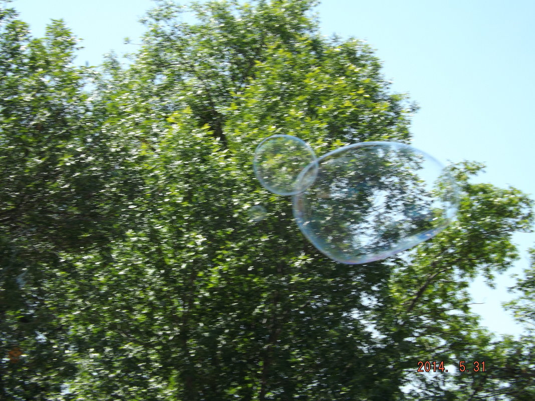 мыльный пузырь - Olga Kot