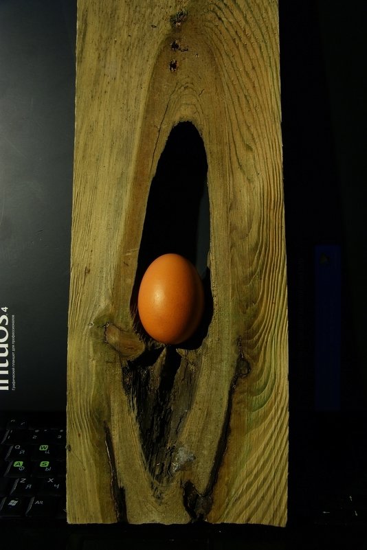 Монумент яйцу или монументальное яйцо - Николай Фарионов