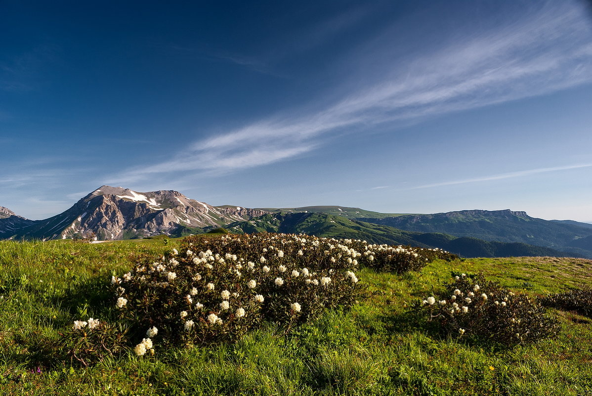 *** - Александр 