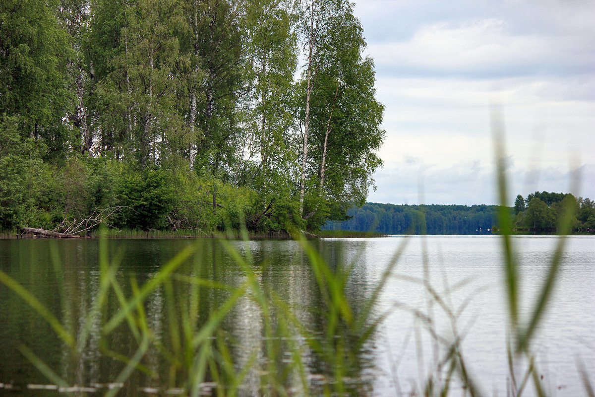 Святозеро Карелия - андрей мазиков