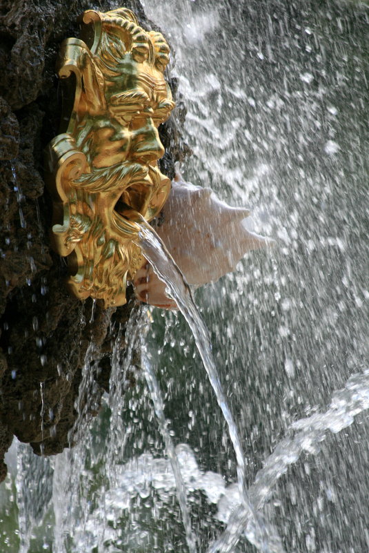 Фрагмент фонтана «Коронный» - летний сад. - юрий 