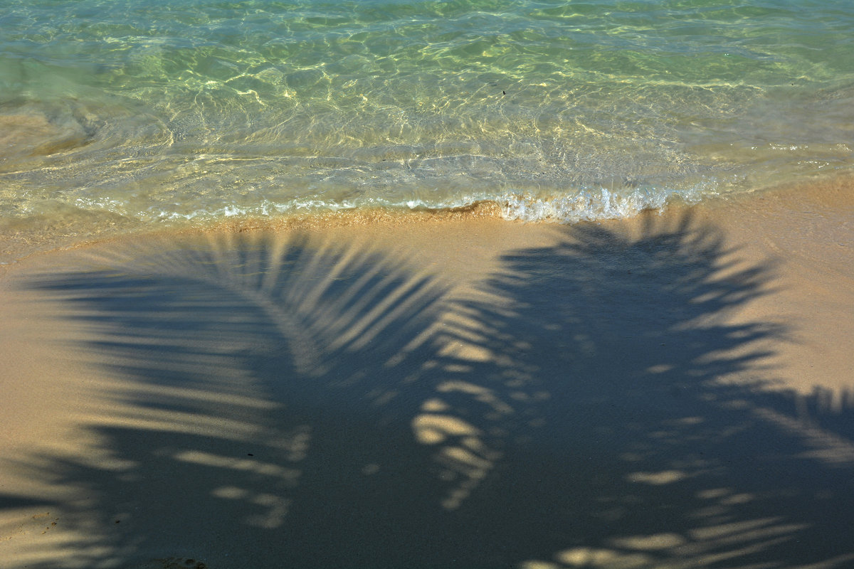 Солнце,море,пальмы и песок - Владимир Рубцов