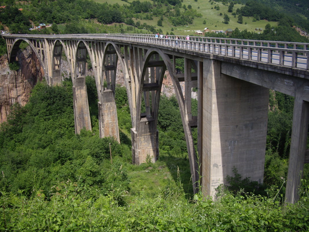 Мост - Елена Плаксина