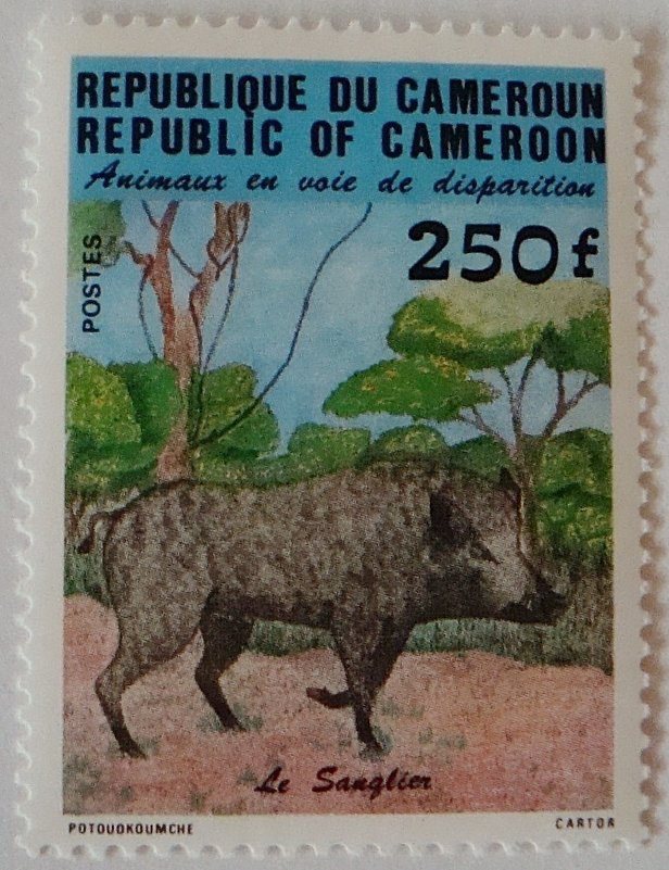 Камерун - Лариса 