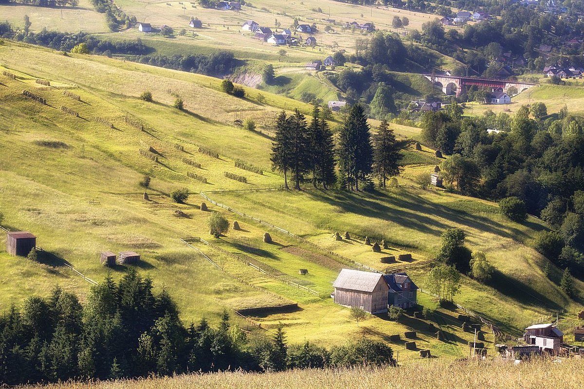 *** - Андрій Кізима