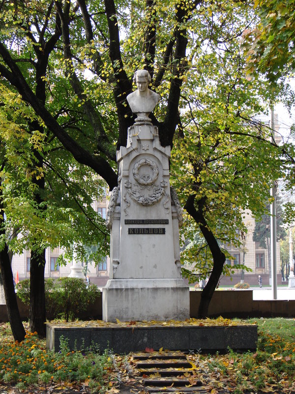 Памятник  Алексею Кольцову. - Михаил Болдырев 
