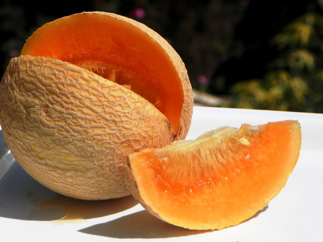 Оранжевая дыня - Маргарита 