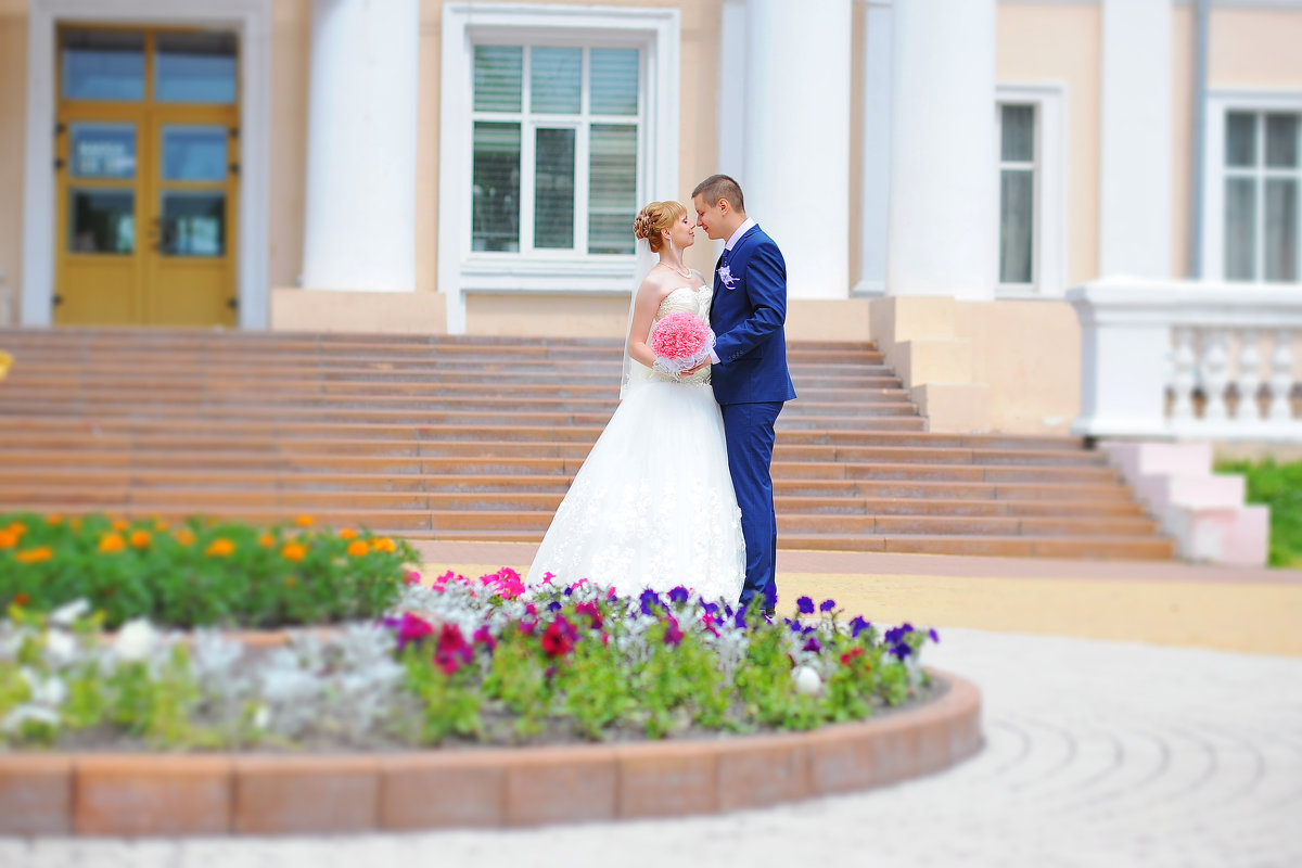 Свадьба - Сергей Залогин